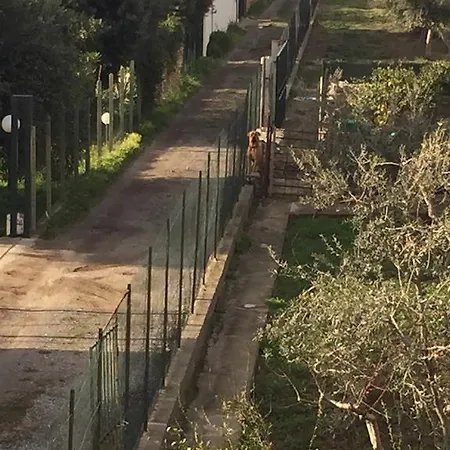 Dario Ferienhaus Campofelice Di Roccella
